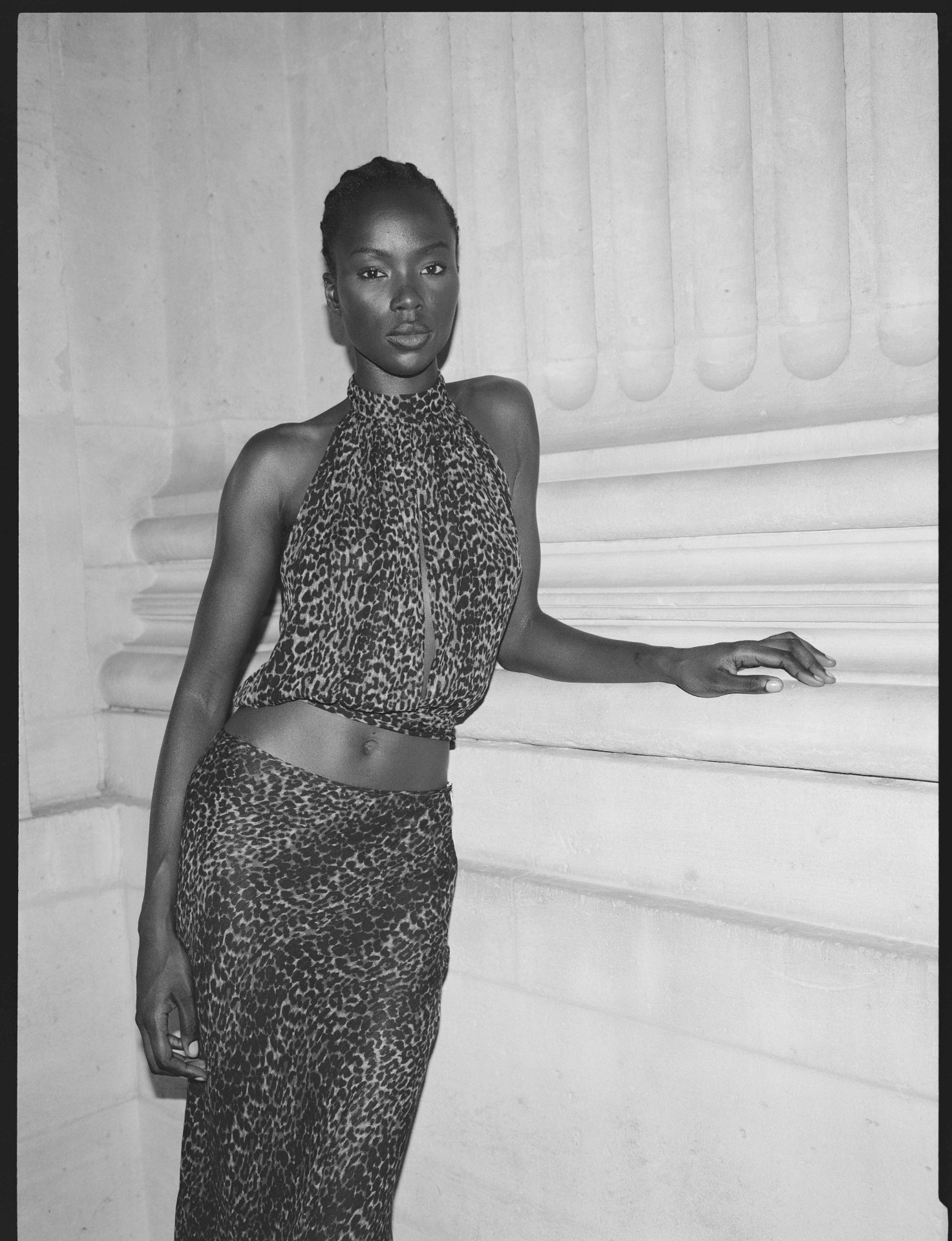Arcina Ori — 53